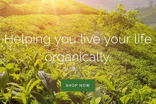 Wellssential Branding